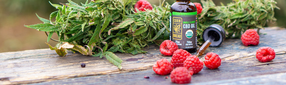 CBD Gummies
