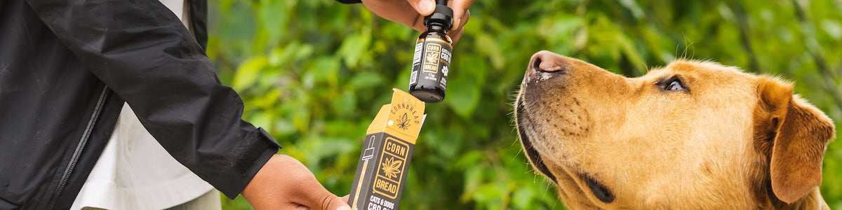 CBD for Pets